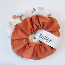Load image into Gallery viewer, Scrunchie Pack - Sonny
